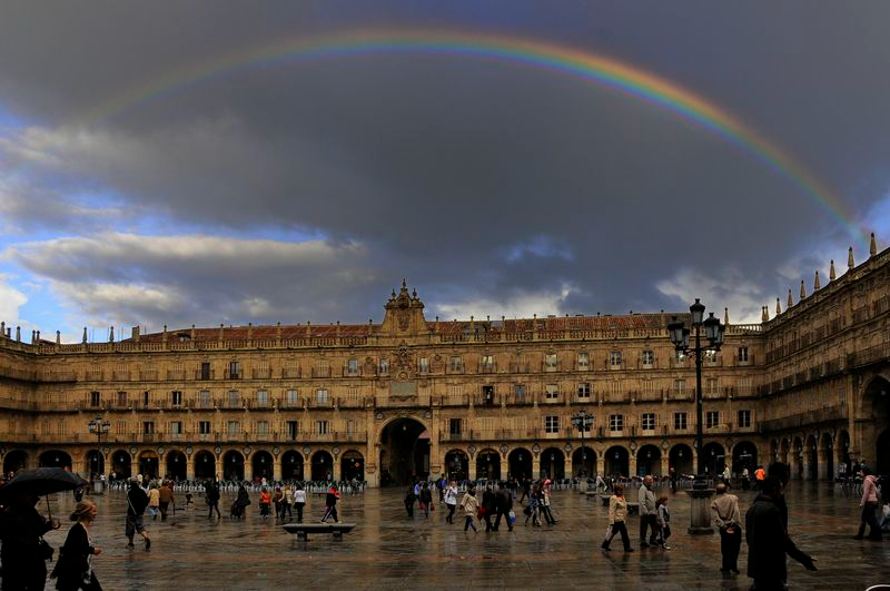 Contrastes primaverales 