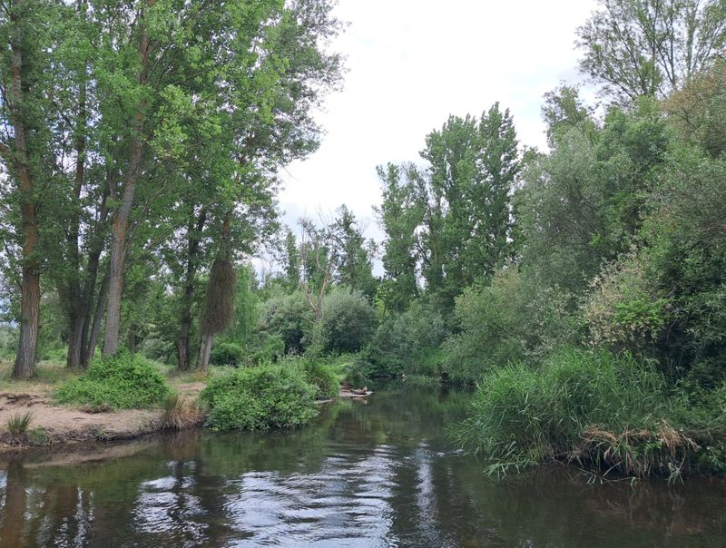 UPL propone adecentar las orillas fluviales en el entorno de La Aldehuela como espacio de ocio para la población salmantina