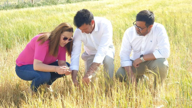 Sieteiglesias recibe la visita de Virginia Barcones y de representantes de UPA-COAG