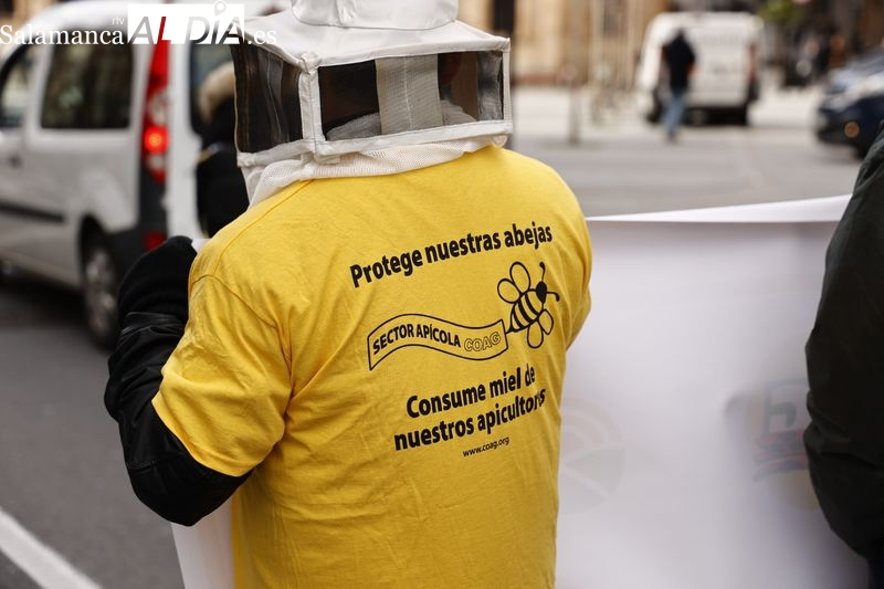 Así se celebra este sábado el Día Mundial de las Abejas en Salamanca