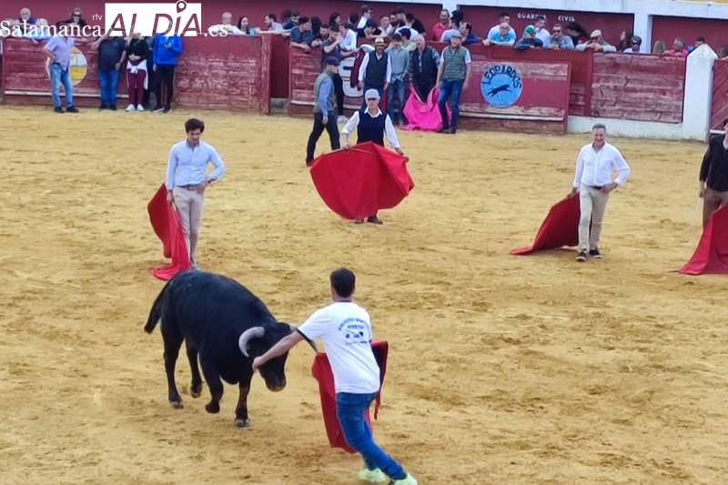 Público y aficionados disfrutan en la gran capea popular organizada en Macotera