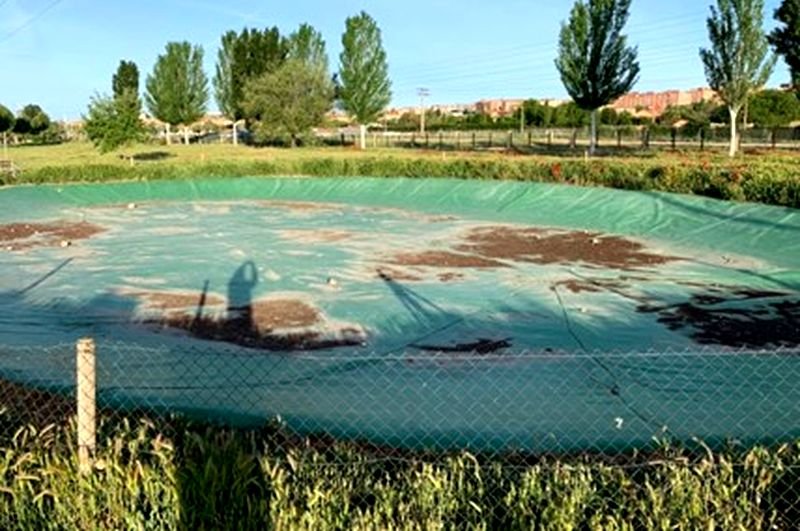 Quejas de dueños de perros por la situación del parque de El Baldío, en la Aldehuela