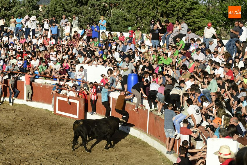 Espectacular lleno en las primeras citas taurinas de las fiestas de Saelices