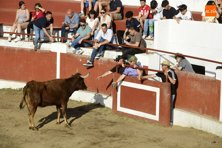 El cansancio festivo se deja notar en la segunda capea de Saelices