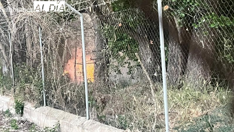 Susto por un pequeño incendio junto al río Tormes