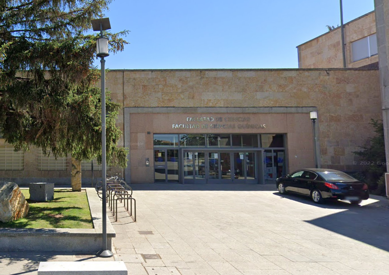 Estos son los grados universitarios con más salidas profesionales