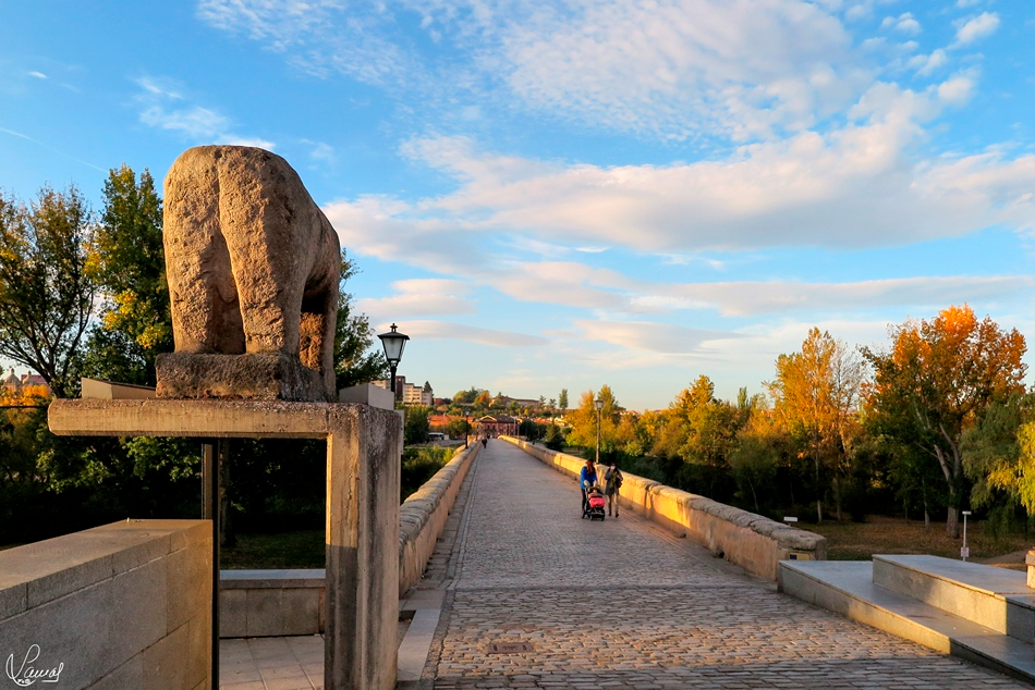 Descubre los monumentos de Salamanca a través de las piedras con las que los construyeron