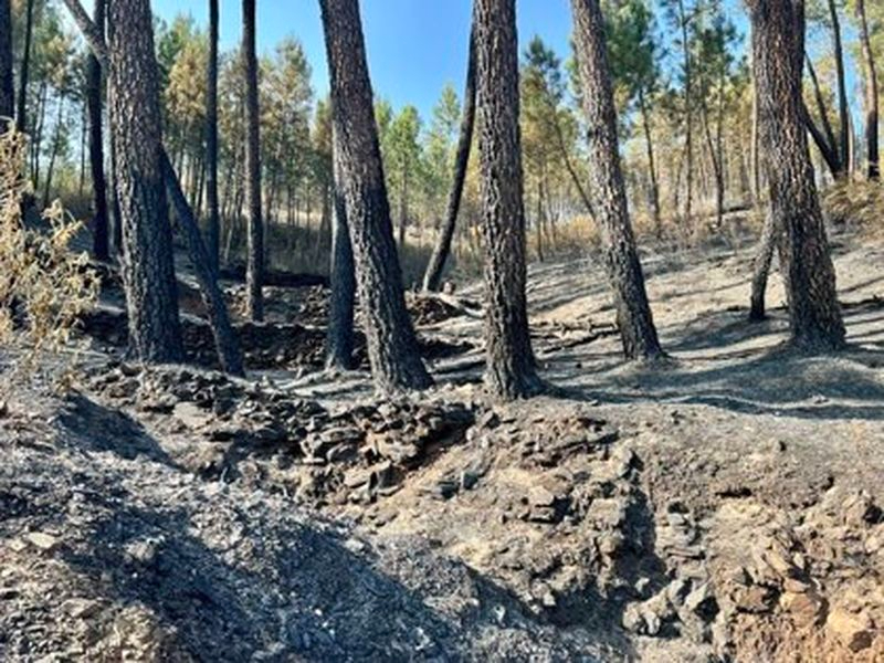  El incendio de las comarcas de la Sierra de Gata y Las Hurdes queda controlado
