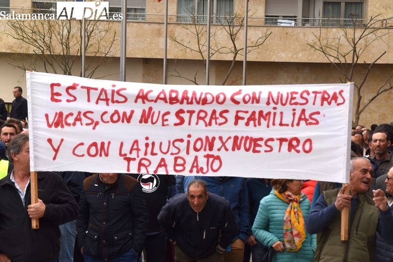 Unión por la Ganadería amenaza con boicotear mercados y ferias si no se flexibilizan las medidas sanitarias