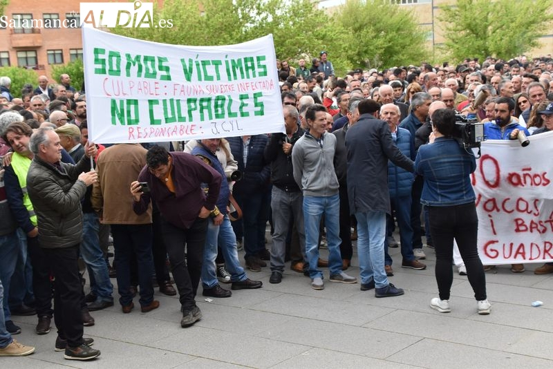 Ganaderos salmantinos retoman las protestas por la orden ministerial que restringe movimientos de animales