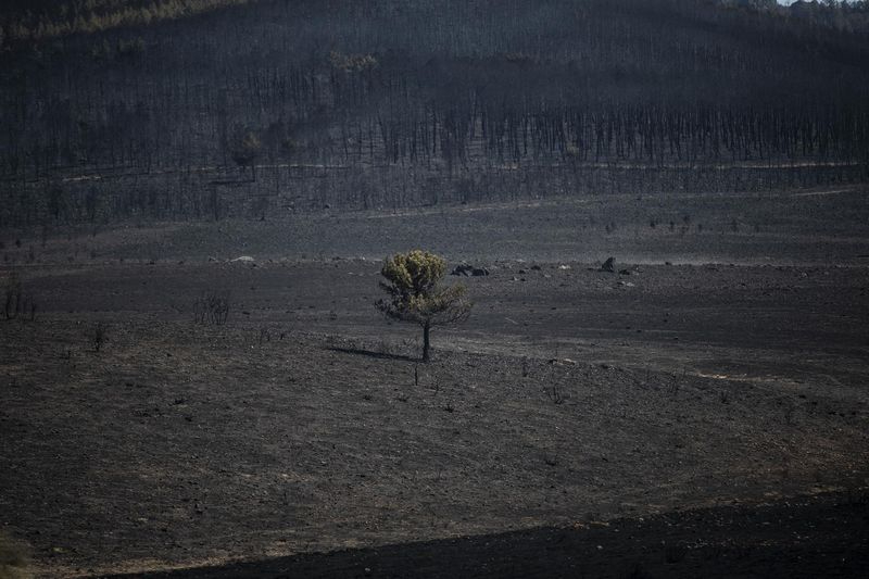 Castilla y León seguirá en peligro medio de incendios forestales hasta el 11 de mayo