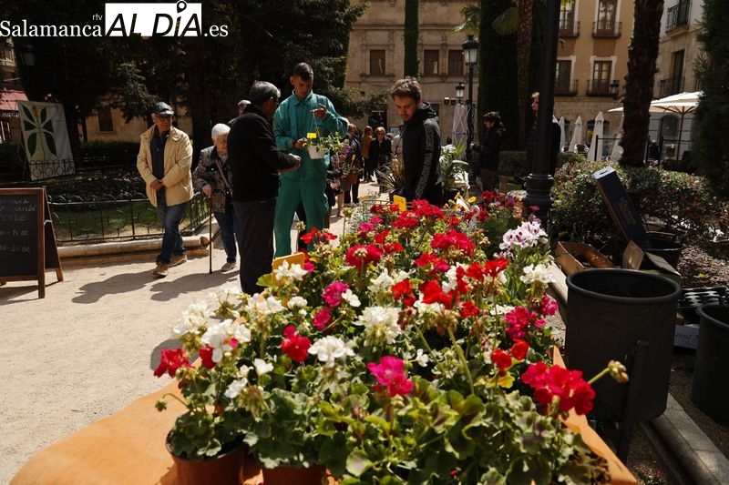 Buen ambiente en el mercado de flores instalado en el centro de Salamanca