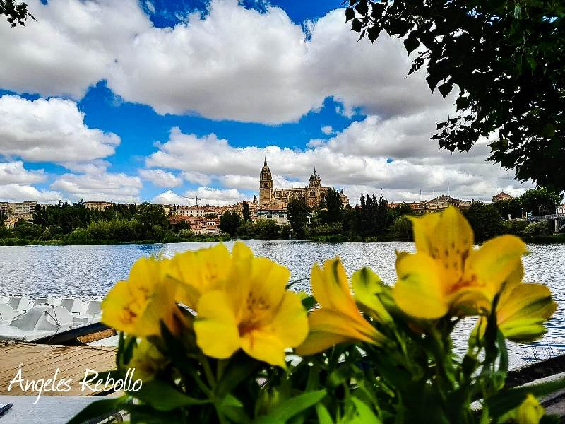 ¿Qué más puedes pedir?