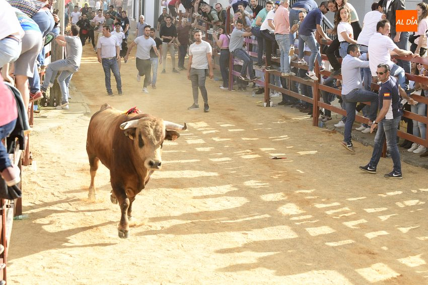 Llenazo en Bocacara con la jornada taurina de San Miguel Arcángel