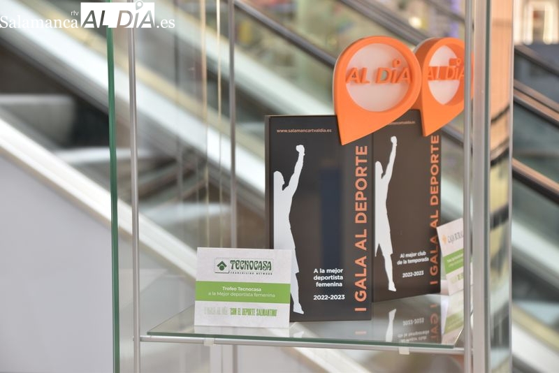 Ya puedes ver los trofeos que ganarán los mejores deportistas salmantinos