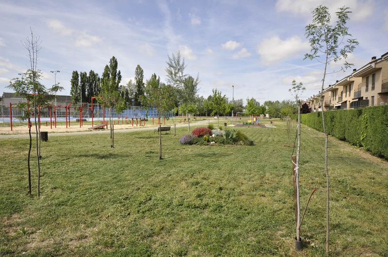 Los alumnos de la AFE de Horticultura y jardinería de Santa Marta acondicionan ocho zonas verdes