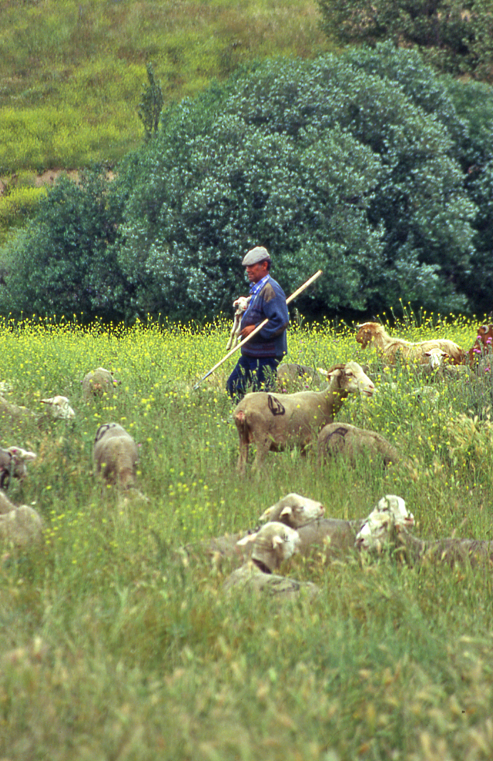 Aportaciones enegéticas 