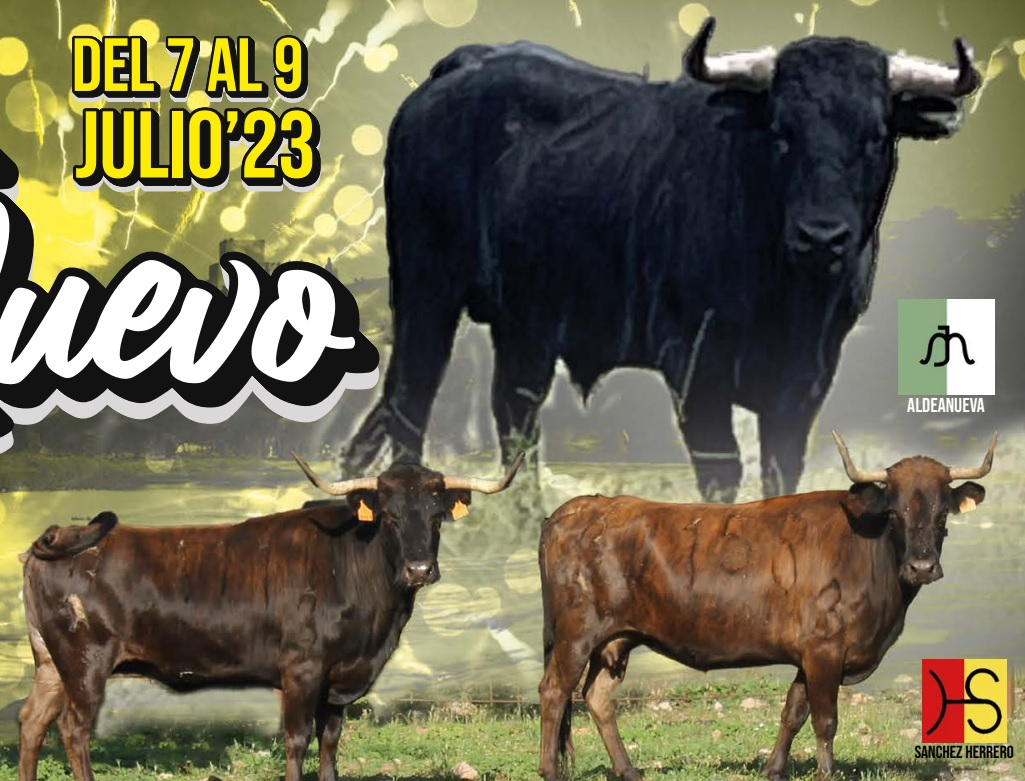 Un novillo y dos vacas protagonizarán la cita taurina de las fiestas del Barrio Nuevo