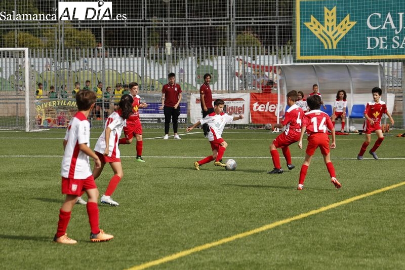 El Vicente del Bosque disfruta del VII Memorial Antonio Herrero