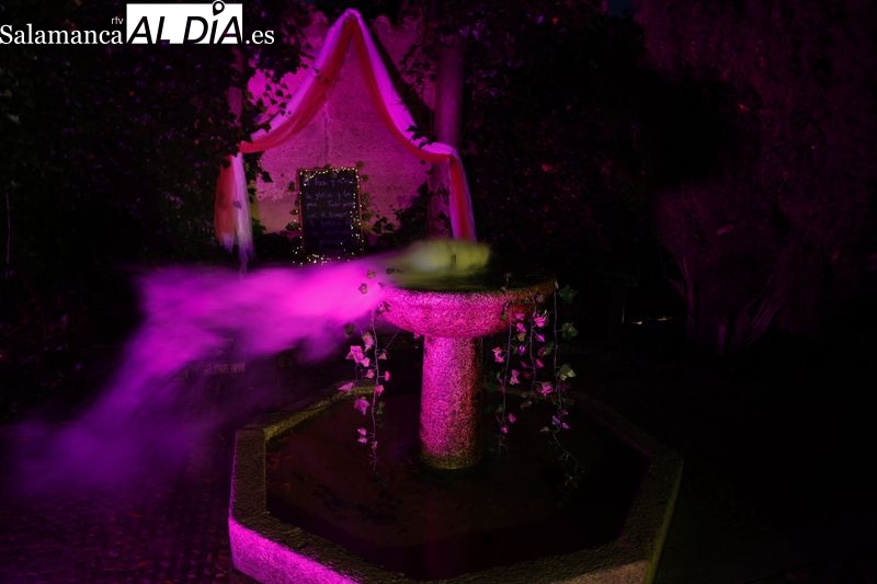 Largas colas para disfrutar del último día del espectáculo de luz, arte y nuevas tecnologías en el Huerto de Calixto y Melibea