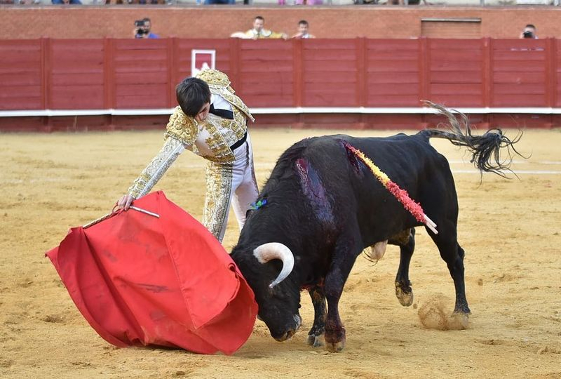 La Fundación Toro de Lidia recibe 270.000 euros para la organización del Circuito de Novilladas 2023
