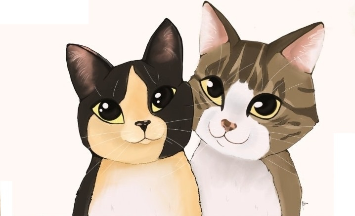 CES Gatos sortea una ilustración personalizada de una mascota