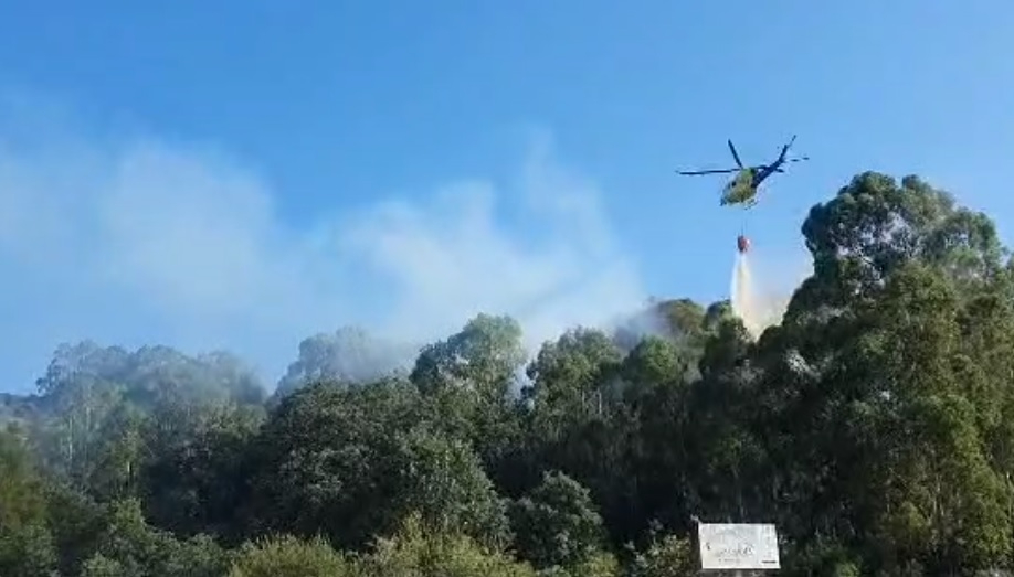 Registrado un incendio forestal de origen intencionado en Serradilla del Llano