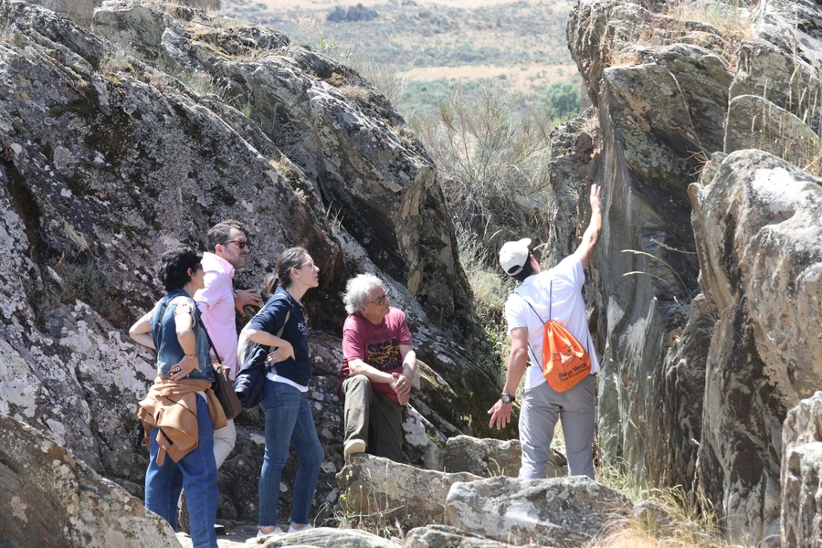 Descubiertos cinco nuevos paneles con grabados en Siega Verde