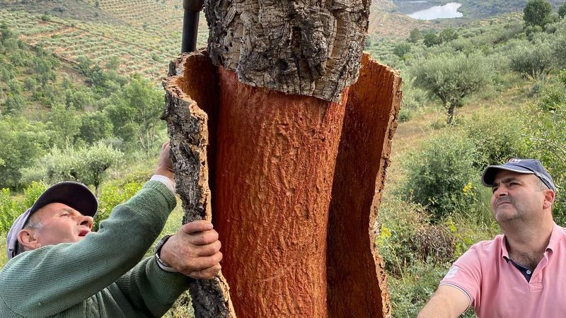 El arte conecta con lo salvaje en el Gran Valle del Côa