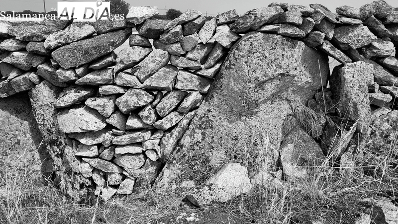 Arranca la decimonovena edición  del certamen de fotografía El Pantano y su entorno’