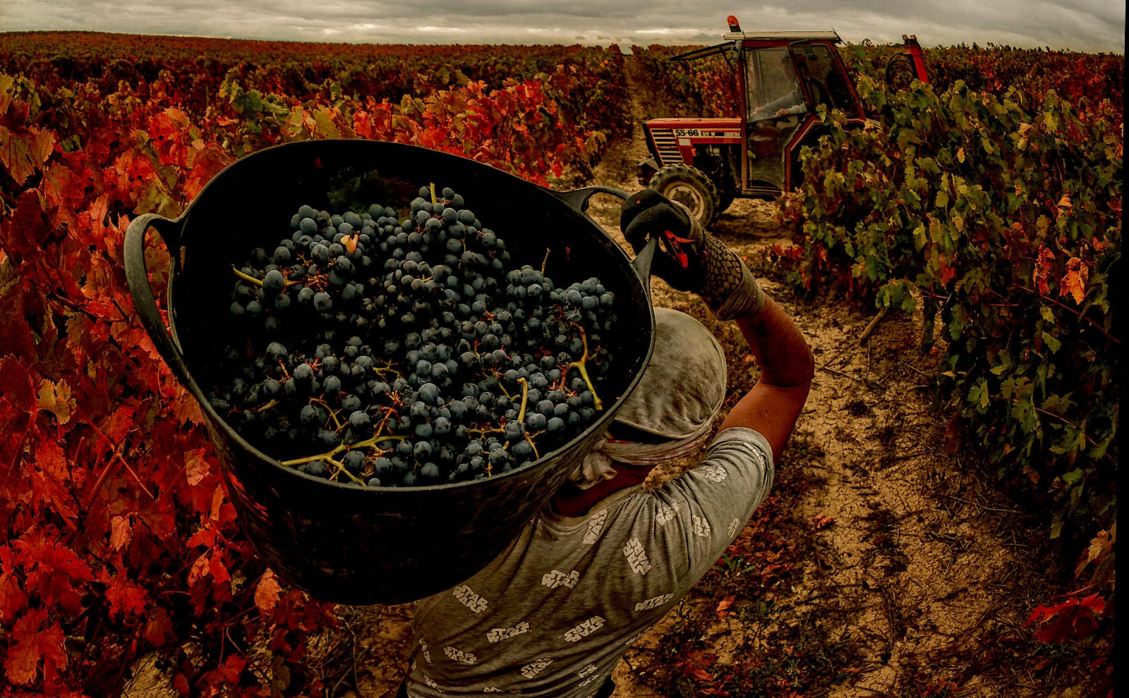 La Diputación convoca el 34 Premio Nacional Salamanca de Fotografía Agrícola y Ganadera