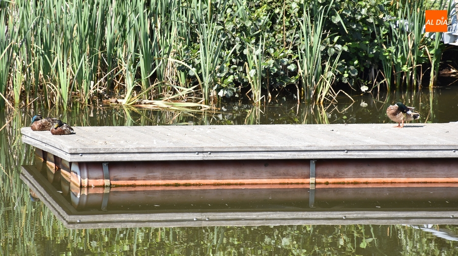 1Foto: Invirtiendo el tópico