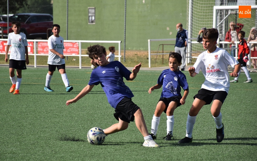 Alevines y benjamines del Ciudad Rodrigo CF protagonizan el final definitivo de la temporada futbolera