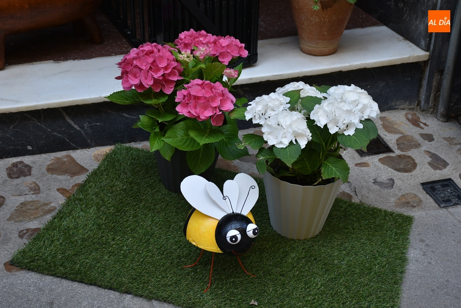 La calle San Juan gana el 3º Concurso Floral de Primavera