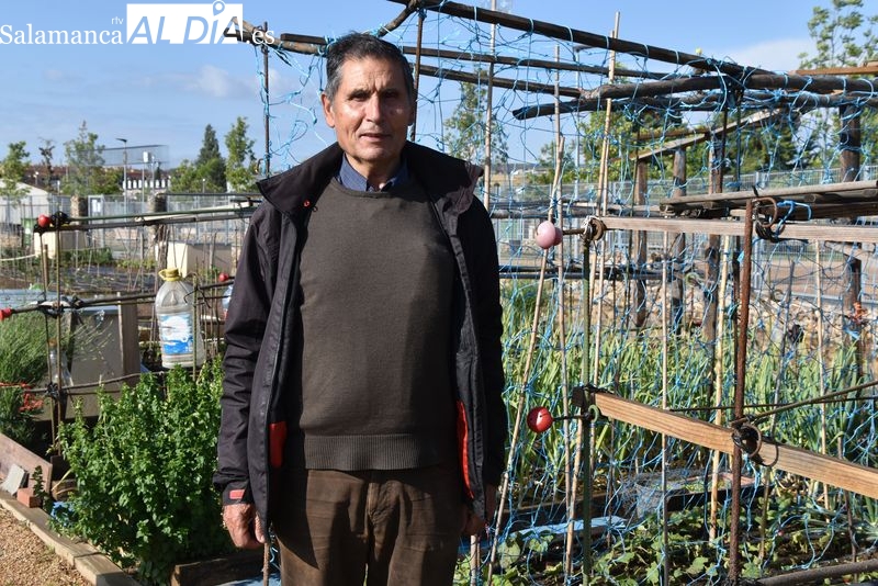 Siempre he comido verduras y hortalizas, pero no tiene nada que ver lo que he comprado con lo que cultivo