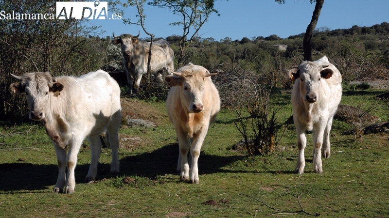 Jornada aciaga con bajadas en todas las mesas