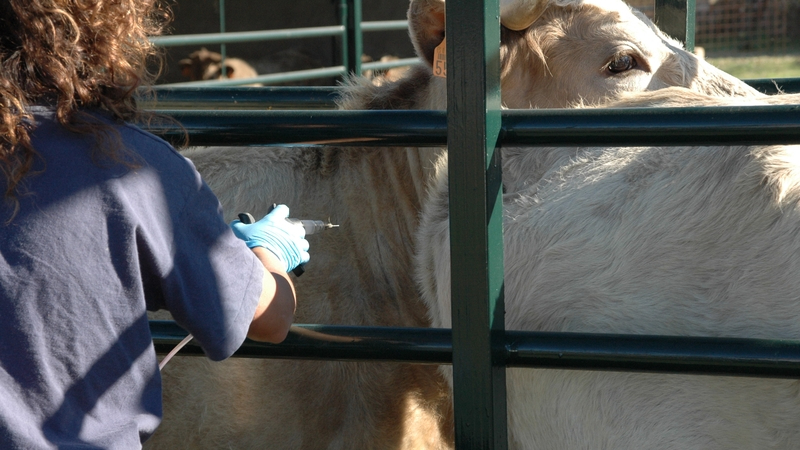 Con las cosas de comer no se juega