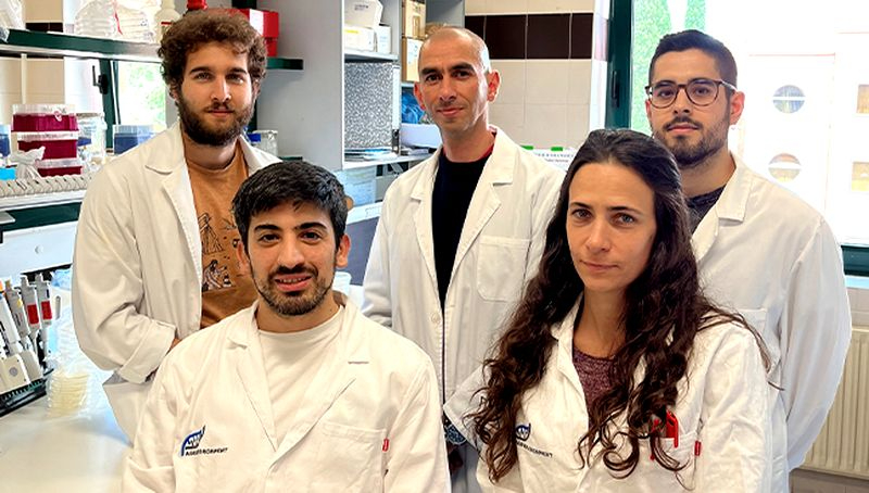 Descubrimiento de científicos de Salamanca que puede facilitar la prevención de plagas en bosques europeos