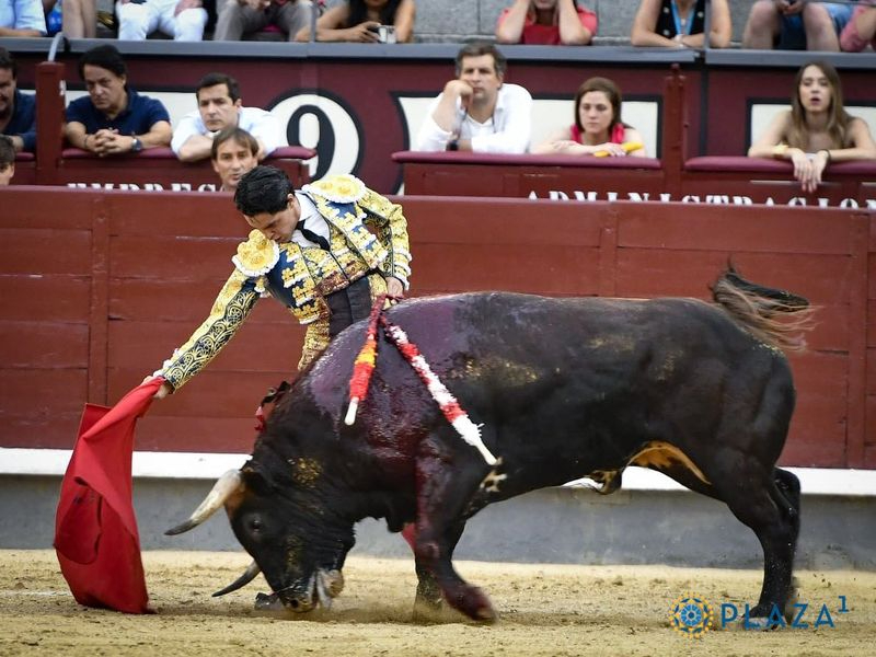 Tarde sin premio para el novillero Mario Navas en Las Ventas