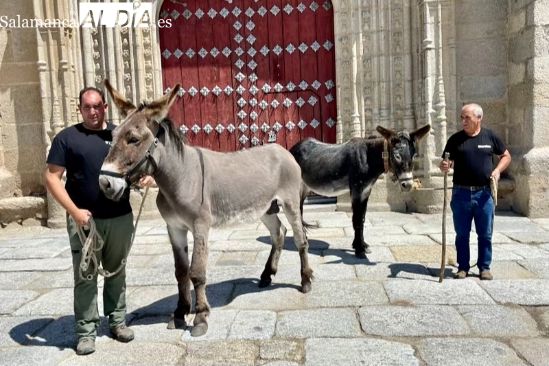 De Víctor a Platero y Chula: La historia de amor mas divertida y sentida con los burros en Santiago de la Puebla que acaba en una explotación para recuperarlos