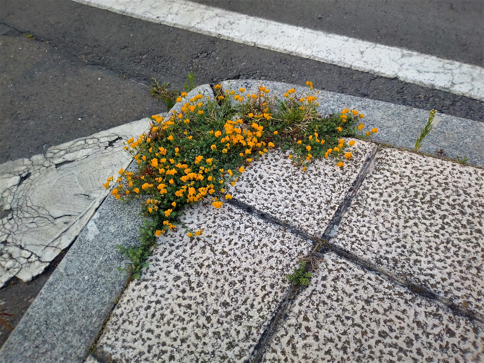  A la calle de vacaciones