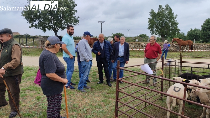 La lluvia respeta la tradicional feria ganadera de Bañobárez del 7 de junio