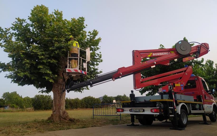 Los Bomberos acuden a Águeda a retirar un enjambre de abejas
