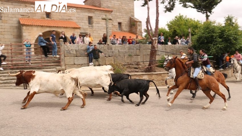 Bogajo se prepara para celebrar unas fiestas de San Juan de lo más taurinas