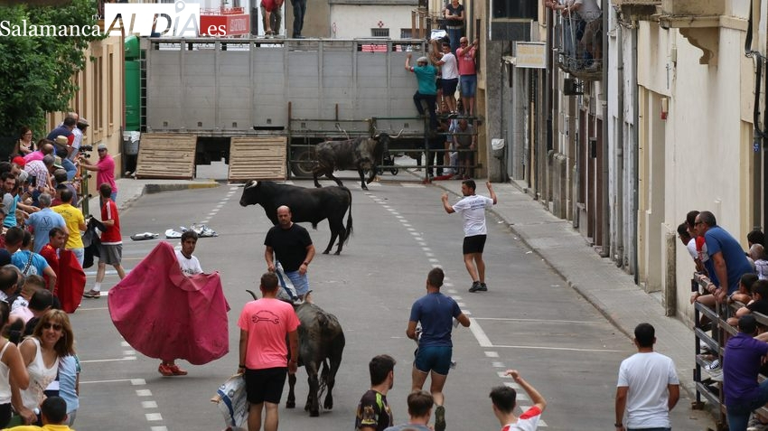 La Asociación Taurina Cultural Villa de Vitigudino ya tiene todo dispuesto para estos Corpus