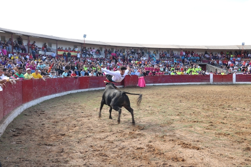 Accidentada capea del sábado de Corpus en Vitigudino