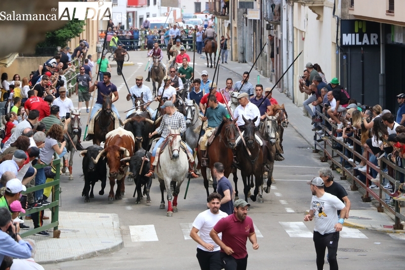 El Corpus enfila la recta final en Vitigudino 