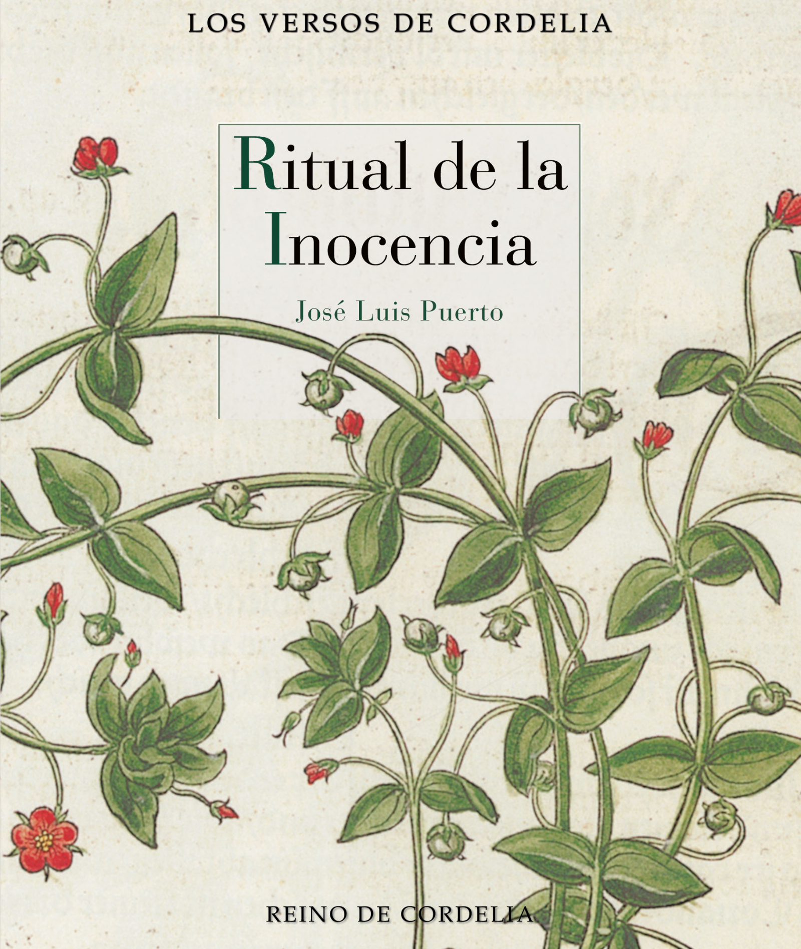 ‘Ritual de la inocencia’: nuevo libro de poemas de José Luis Puerto