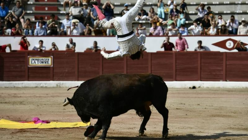 Terrible cornada a Juan del Álamo en la final de la Copa Chenel