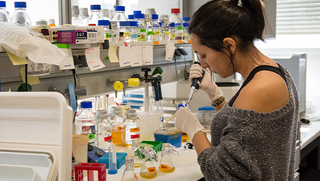 Notable subida de la Universidad de Salamanca en el Ranking QS a nivel mundial, que está casi entre las 500 mejores del mundo